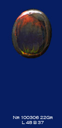 sieraad 100306